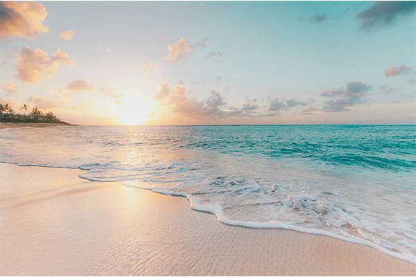 Discover the island
